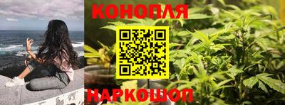 ГАЛЛЮЦИНОГЕННЫЕ ГРИБЫ Северобайкальск