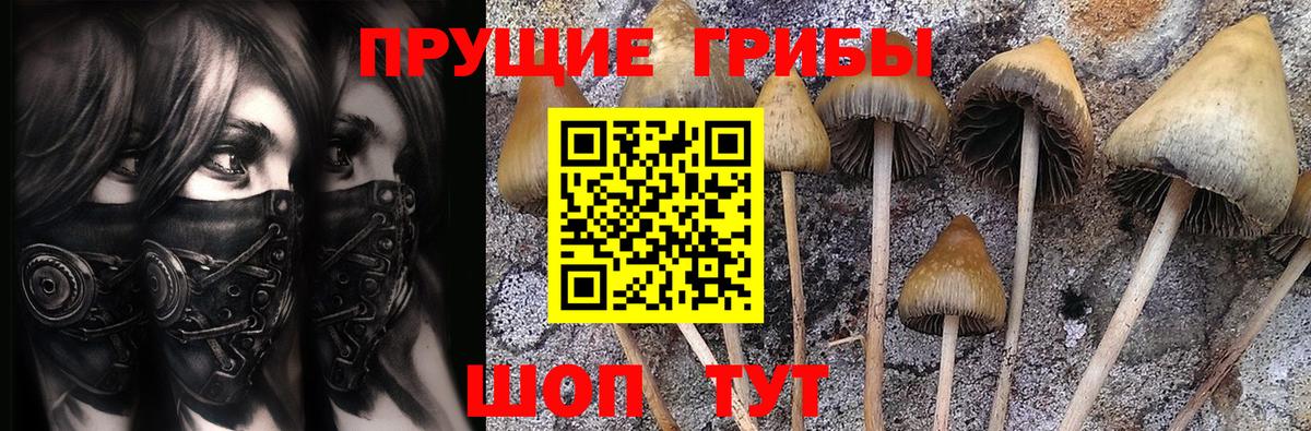 Галлюциногенные грибы MAGIC MUSHROOMS  наркошоп  Новотроицк  Вход с VPN 
