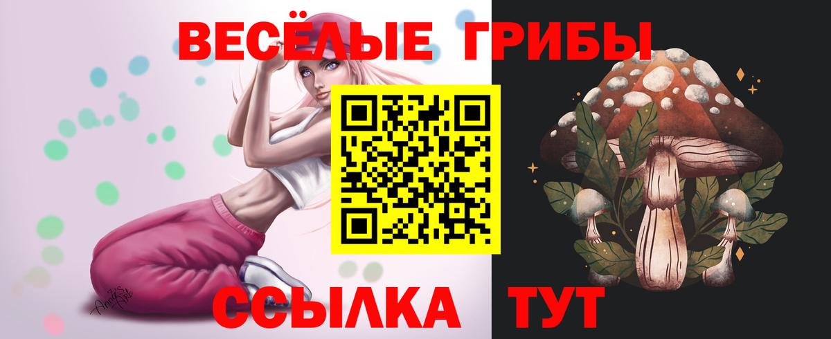 Галлюциногенные грибы Magic Shrooms Новотроицк